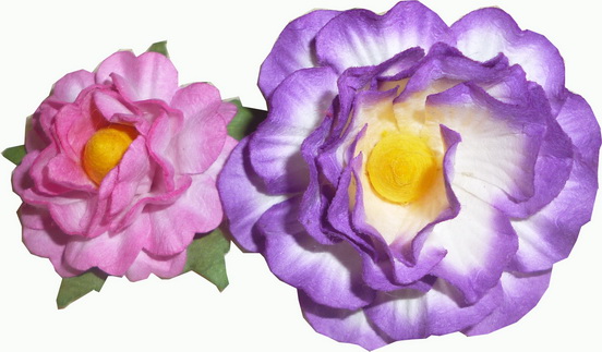 Fantasia flowers,small, loose